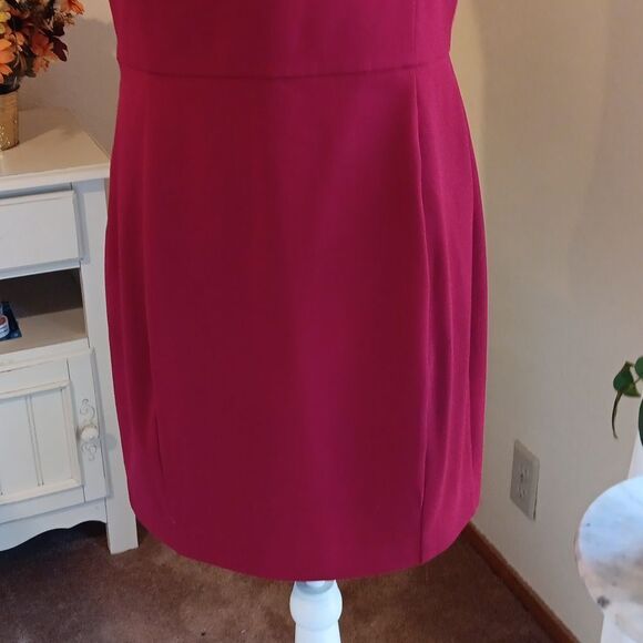 Express Perfect Red Dress, Tomato Girl, Career Professional,  Coastal  Grandma - Picture 8 of 11